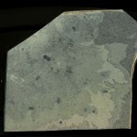 Itagnostus interstrictus with Marpolia spissa