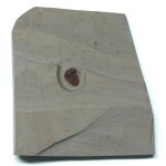 Bolaspidella housensis