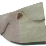 Bolaspidella housensis