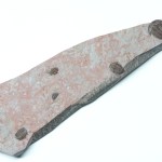 Epic Red Elrathia kingii Multi Plate