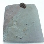 Bolaspidella housensis