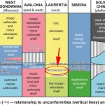 Archaeaspis macropleuron