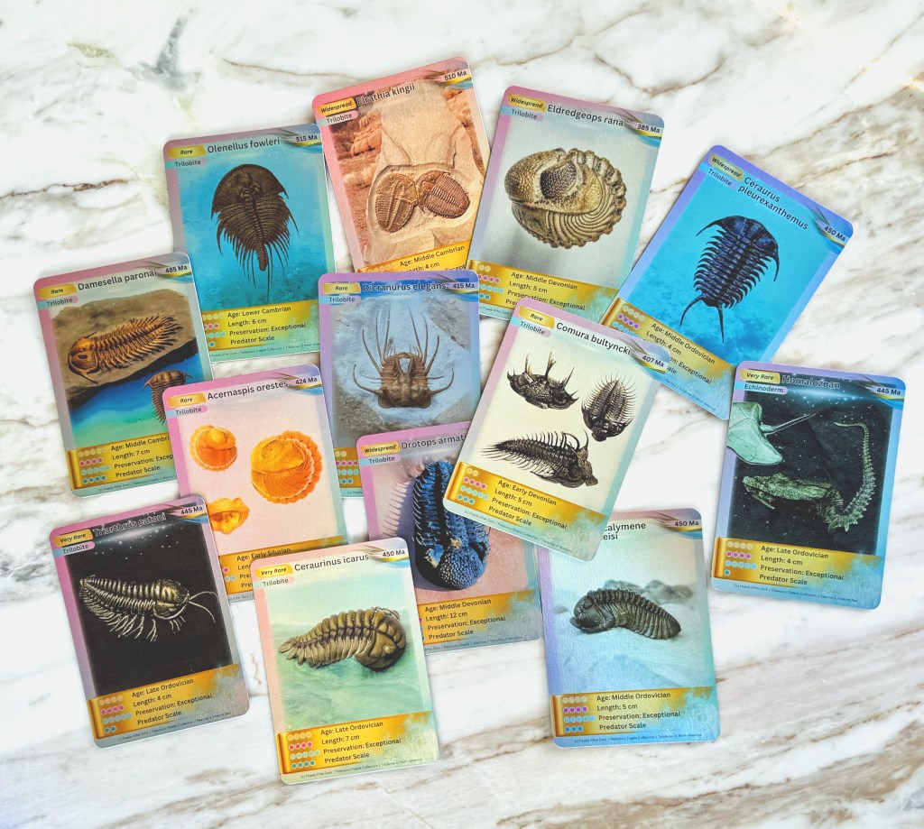 Premium Collectible Trilobite Cards - 13 Cards with Holographic Front