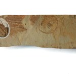 Textbook Olenellus gilberti