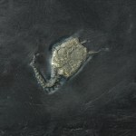 Carpoid fossil